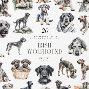 Clipart de Lobero Irlandés en Acuarela, Majestuosa Raza de Perro Grande, Cachorro Gigante, Compañero Canino Leal, Gráficos PNG Transparentes, Uso Comercial
