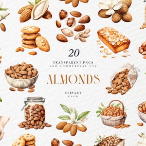 Akvarell mandlar clipart, nötter och baljväxter, hälsosam mat, mellanmål, saltad mandel, höstlöv, transparent PNG-grafik, kommersiellt bruk
