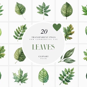 Clipart de folhas sortidas em aquarela, clipart de folhas verdes, folha de árvore, verão, primavera, vegetação. Verdes, gráfico PNG transparente, uso comercial