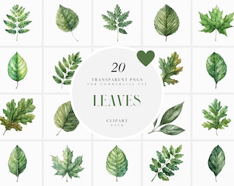 Watercolor Assorted Leaves Clipart, Green Leaf Clipart, Tree Leaf, Summer, Spring, Greenery. Greens, Transparent PNG Graphic, Commercial Use