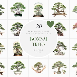 Aquarel bonsai bomen clipart, groene bonsai bomen clipart, volwassen boom clipart, Japanse bomen clipart, transparante PNG, commercieel gebruik