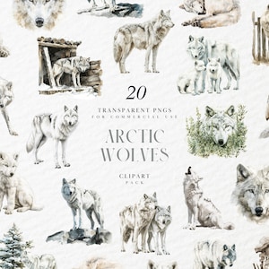 May include: A collection of watercolour illustrations of arctic wolves in various poses. The images show wolves standing, sitting, and howling, including family groups. The text reads "20 Transparent PNGs for Commercial Use. Arctic Wolves Clipart Pack."