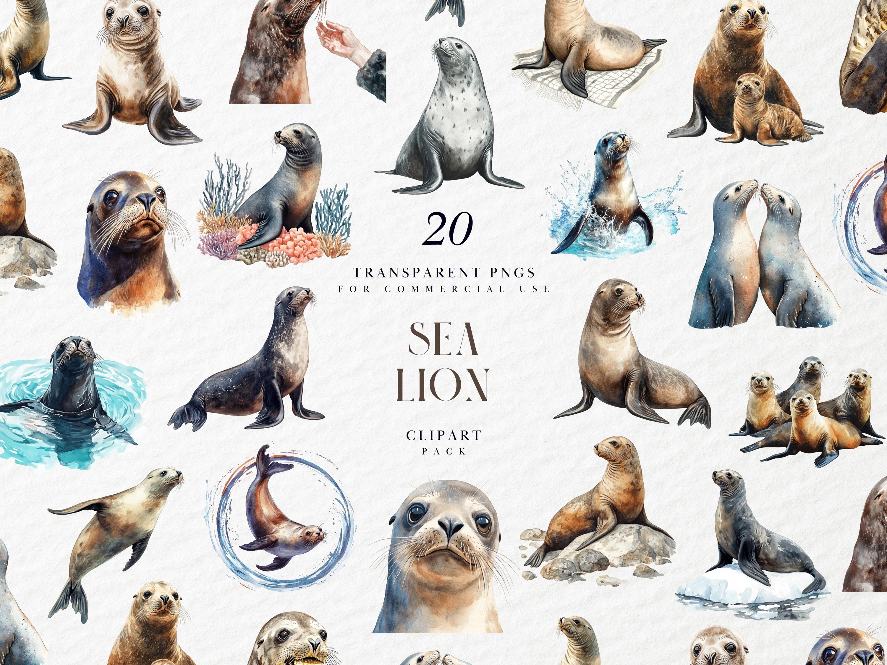 Sea Lion Papercraft - Etsy Ireland