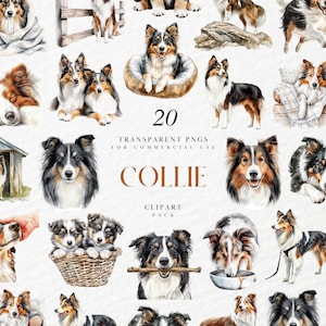 Clipart collie aquarel, portret hoedende hond, rustiek landdecor, planner stickers en prints, transparante png-afbeeldingen, commercieel gebruik