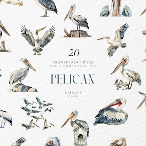 Aquarell Pelikan Clipart, Wasservogel Clipart, fliegende Vögel, Wasservogel, Meer, Ozean, Küstenstrand, transparente PNG-Grafik, kommerzielle Nutzung