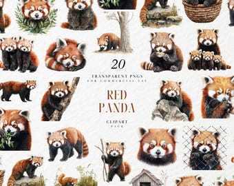 水彩画のレッサーパンダのクリップアート、かわいい赤ちゃんの森の動物