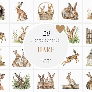 Clipart di lepre ad acquerello, Clipart di lepri realistiche, Clipart di lepre che salta, Clipart di animali, fauna selvatica, PNG trasparente, uso commerciale