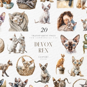 Clipart Devon Rex aquarelle, illustration décalée de chat à poil court, art ludique chaton aux grandes oreilles, graphiques PNG transparents, usage Commercial