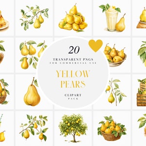 Clipart di pere gialle dell'acquerello, clipart di pere gialle, clipart di raccolta delle pere, clipart di frutta di pera, grafica PNG trasparente, uso commerciale