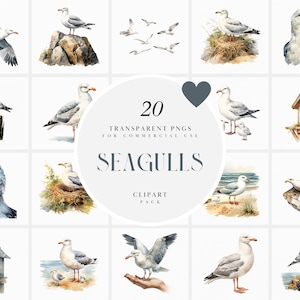 Aquarel zeemeeuw clipart, vliegende meeuwen clipart, nautische vogels clipart, meeuwen clipart, transparante PNG-graphics, commercieel gebruik