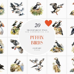 Clipart akwarelowy Puffin Bird, Clipart latających ptaków Puffin, Clipart egzotycznych ptaków, Clipart ptaków morskich, Przezroczysta grafika PNG, Użytek komercyjny