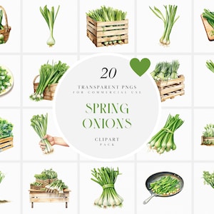 Watercolor Spring Onions Clipart, Spring Onion Clipart, Garden Vegetables Clipart, Garden Onions Clipart, Transparent PNG, Commercial Use