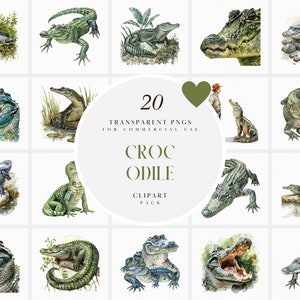 Akwarela Krokodyl Klipart, Słodkie Realistyczne Gady Krokodyle, Rzeka Nil, Jezioro, Krokodyl, Świeża Woda, Przezroczysty PNG, Użytek Komercyjny
