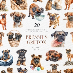 Clipart aquarelle griffon de Bruxelles, petit chien débraillé, chiot à face plate, race de jouets, déco amateur d'animaux de compagnie, graphiques PNG transparents, usage Commercial