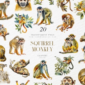 May include: Watercolor clipart pack featuring 20 transparent PNGs of squirrel monkeys. The illustrations showcase monkeys in various poses, with brown, yellow, and blue tones. Text reads "Squirrel Monkey Clipart Pack".