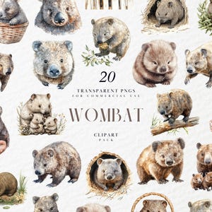 Aquarell Wombat Clipart, Realistische Zootiere, Australische Wildtiere, Vierbeinige Beuteltiere, Transparente PNG Grafiken, Kommerzielle Nutzung