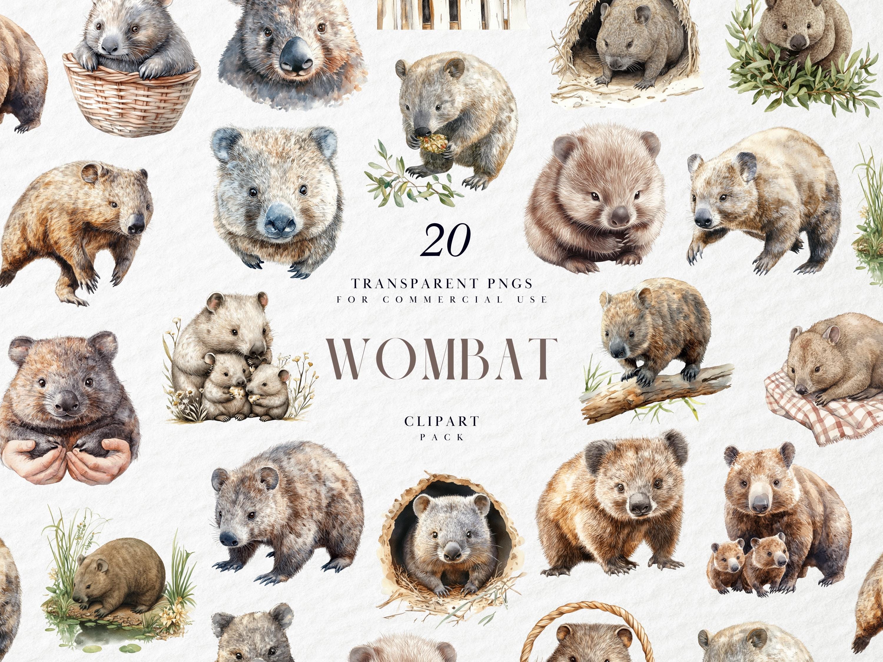 Watercolor Wombat Clipart, Realistic Zoo Animals, Australian