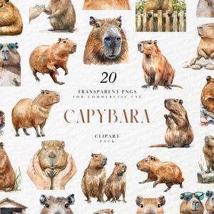 Peut inclure: Un pack de clipart numérique de 20 illustrations d'aquarelle de capybaras dans différentes poses. Les illustrations sont sur un fond blanc et présentent le texte "20 Transparent PNGs for Commercial Use Capybara Clipart Pack".