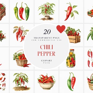 Watercolor Red Chili Pepper Clipart, Spicy Chili Peppers Clipart, Chili Plant Clipart, Red Chillies Clipart, Transparent PNG, Commercial Use