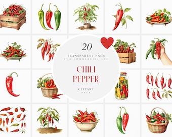 Watercolor Red Chili Pepper Clipart, Spicy Chili Peppers Clipart, Chili Plant Clipart, Red Chillies Clipart, Transparent PNG, Commercial Use