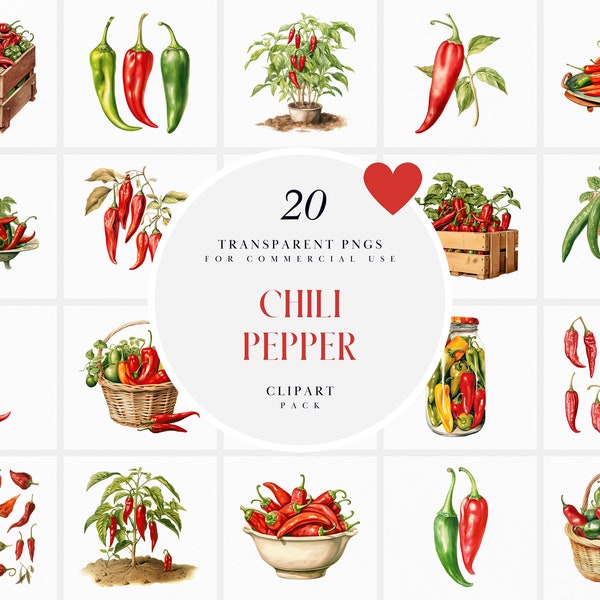 Watercolor Red Chili Pepper Clipart, Spicy Chili Peppers Clipart, Chili Plant Clipart, Red Chillies Clipart, Transparent PNG, Commercial Use
