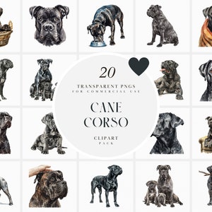 Aquarel Cane Corso clipart, cane corso, grote zwarte hond, schattige puppy, familiehuishond, transparante png-afbeeldingen, commercieel gebruik