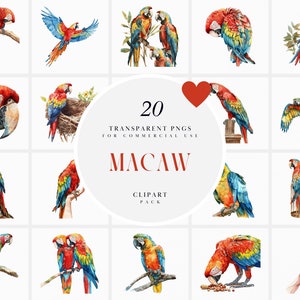 Könnte beinhalten: Ein Set mit 20 digitalen Illustrationen von Aras in verschiedenen Posen. Die Aras sind im Aquarellstil mit leuchtenden Farben dargestellt, darunter Rot, Blau, Grün und Gelb. Die Illustrationen sind perfekt zum Erstellen digitaler Designs, zum Scrapbooking oder zum Hinzufügen eines Hauchs von tropischem Flair zu Ihren Projekten.