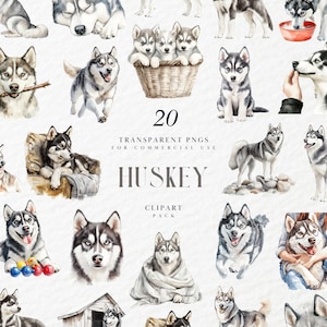 Puede incluir: Paquete de imágenes prediseñadas de acuarela con 20 PNG transparentes de Huskies siberianos en varias poses. La imagen incluye perros sentados, de pie y jugando, con la palabra "HUSKEY" y otro texto.