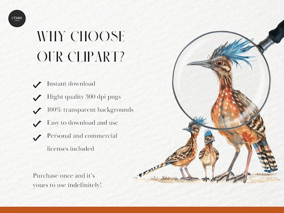 水彩ロードランナーのクリップアート、走るロードランナーのクリップ