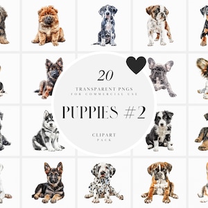 Aquarel puppy's clipart, schattige puppy honden clipart, hondenrassen, huis huisdier portret, hond clipart, transparante png-afbeeldingen, commercieel gebruik