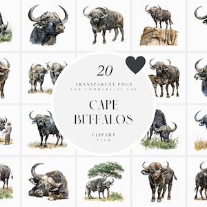 Aquarell Kap-Büffel Clipart, südafrikanischer Büffel Clipart, Savannah Wildtiere, transparente PNG-Grafik, kommerzielle Nutzung
