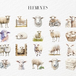 May include: Watercolor illustrations of sheep in various poses, including standing, lying down, and grazing. Some sheep are shown with lambs, and others are in a basket or behind a fence. The word "ELEMENTS" is at the top.