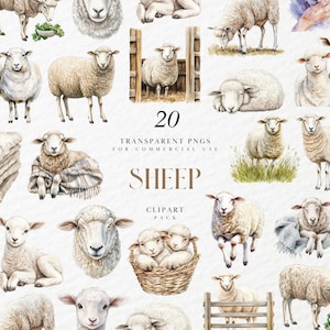 May include: Watercolor clipart pack featuring 20 transparent PNG images of sheep in various poses. Includes sheep standing, lying down, and in a basket. The text "SHEEP" and "CLIPART PACK" are also visible.