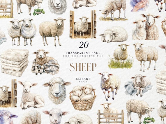 Watercolor Sheep Clipart, Woolly Farm Animal Illustration, Rustic Pasture Scene For Nursery Decor, Transparent PNG Graphics, Commercial Use