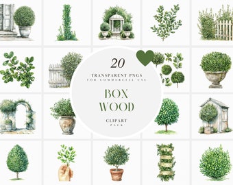 Watercolor Boxwood Clipart, Topiary Clipart, Green Potted Bushes Clipart, Sculpted Tree, Landscape Greenery, Transparent PNG, Commercial Use