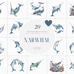 Imágenes prediseñadas de narval en acuarela, imágenes prediseñadas de ballena dentada, mamíferos marinos, animales del Ártico, bajo el mar, imágenes prediseñadas PNG transparentes, uso comercial