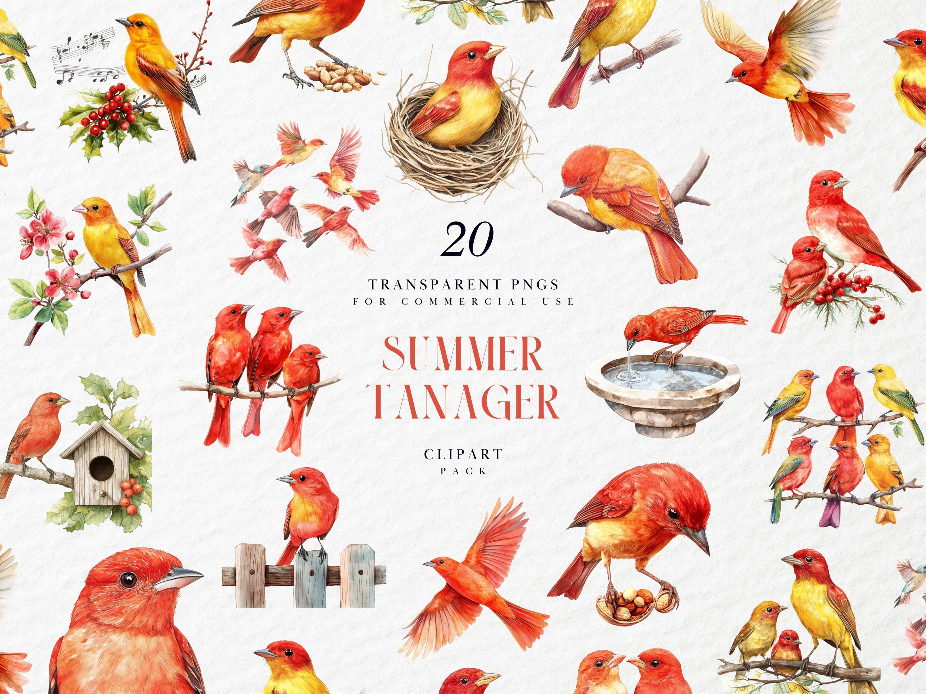 zwerm zwarte vogels vliegen in een strikte volgorde 7410676 Vectorkunst bij  Vecteezy, image size:3000x2250