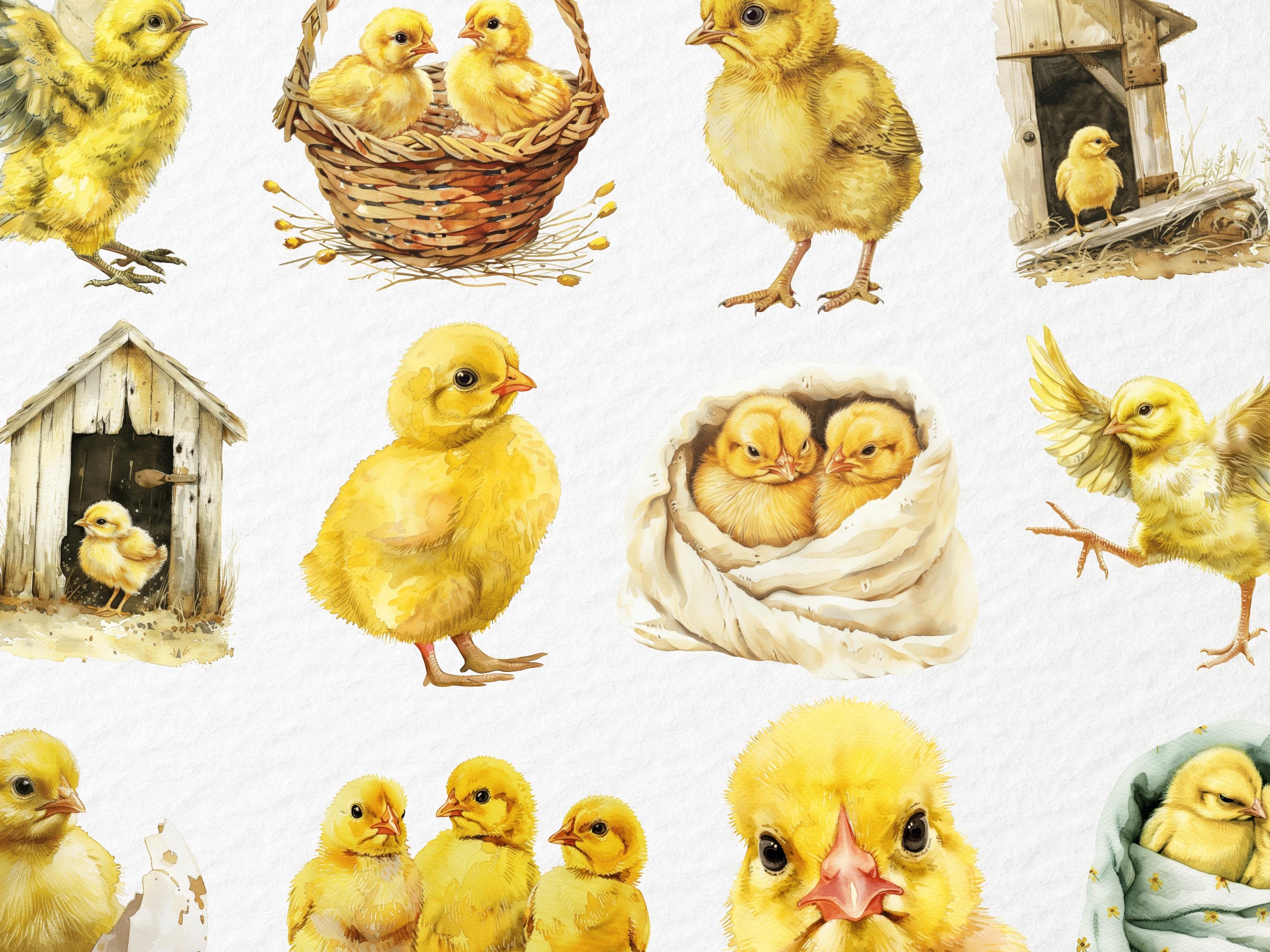 Watercolor Yellow Chicks Clipart, Baby Chicken Chick, Farm Animals ...