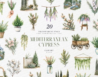 Aquarel mediterrane cipres clipart, groene Italiaanse cipressen, Toscaans, Perzisch, potlood grenen, gedroogd, transparante png, commercieel gebruik