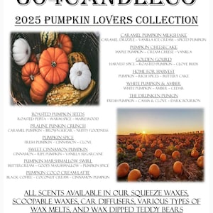 Pumpkin Scents Squeezable Wax Melts Tarts