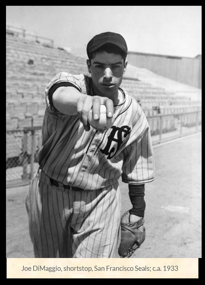 Joe DiMaggio minor leagues 4 of 4