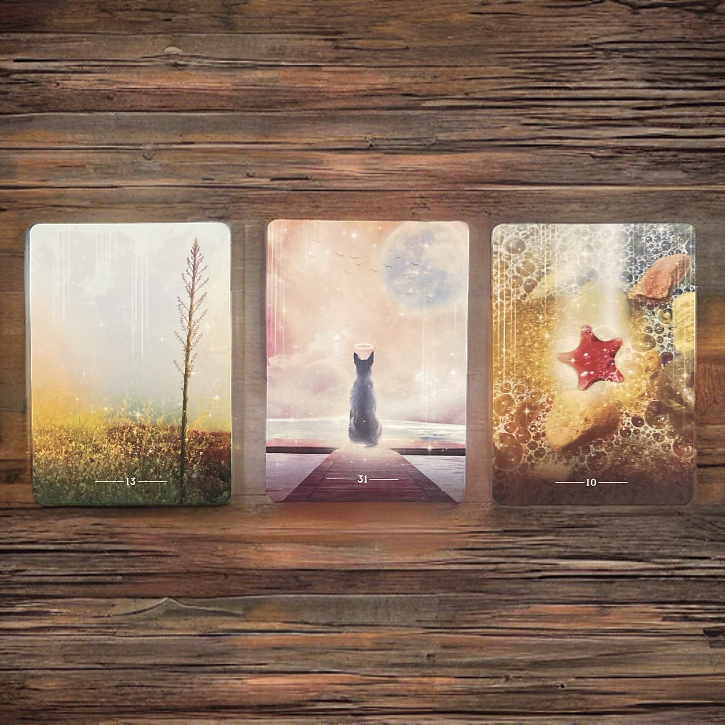 Pocket version - 'Conversations With Max - Whispers Over The Rainbow Bridge'