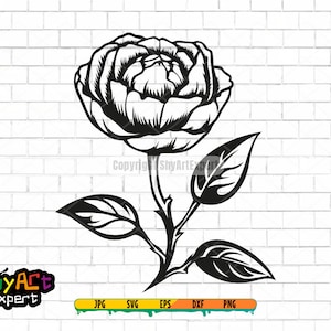 Rose SVG file, Red rose svg, rose svg, flowers svg, clipart, cut file, dxf eps, rose lovers