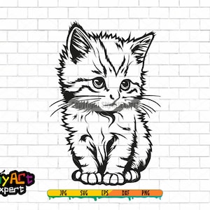Cute Cat SVG file, cat svg, cute peeking cat png, svg for cricut, dxf, clipart