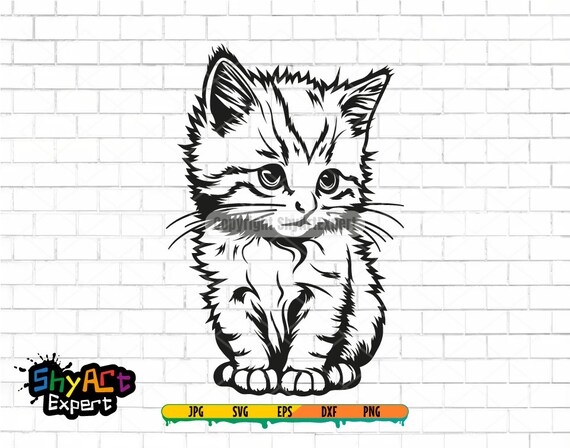 Cute Cat SVG file, cat svg, cute peeking cat png, svg for cricut, dxf, clipart