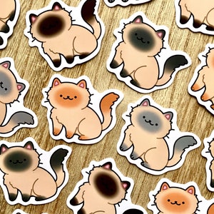 Ragdoll cat sticker / cute sticker, ragdoll cat sticker, pet sticker, waterproof sticker