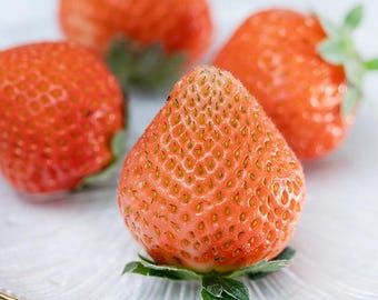 Puede incluir: Cuatro fresas rojas maduras en un plato blanco con un borde dorado. Las fresas están dispuestas en un racimo, con una en el centro y tres alrededor.