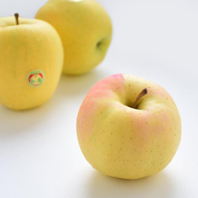 Japanese Aomori Toki Apple Tree, Bare Root, 青森水蜜桃蘋果，土岐