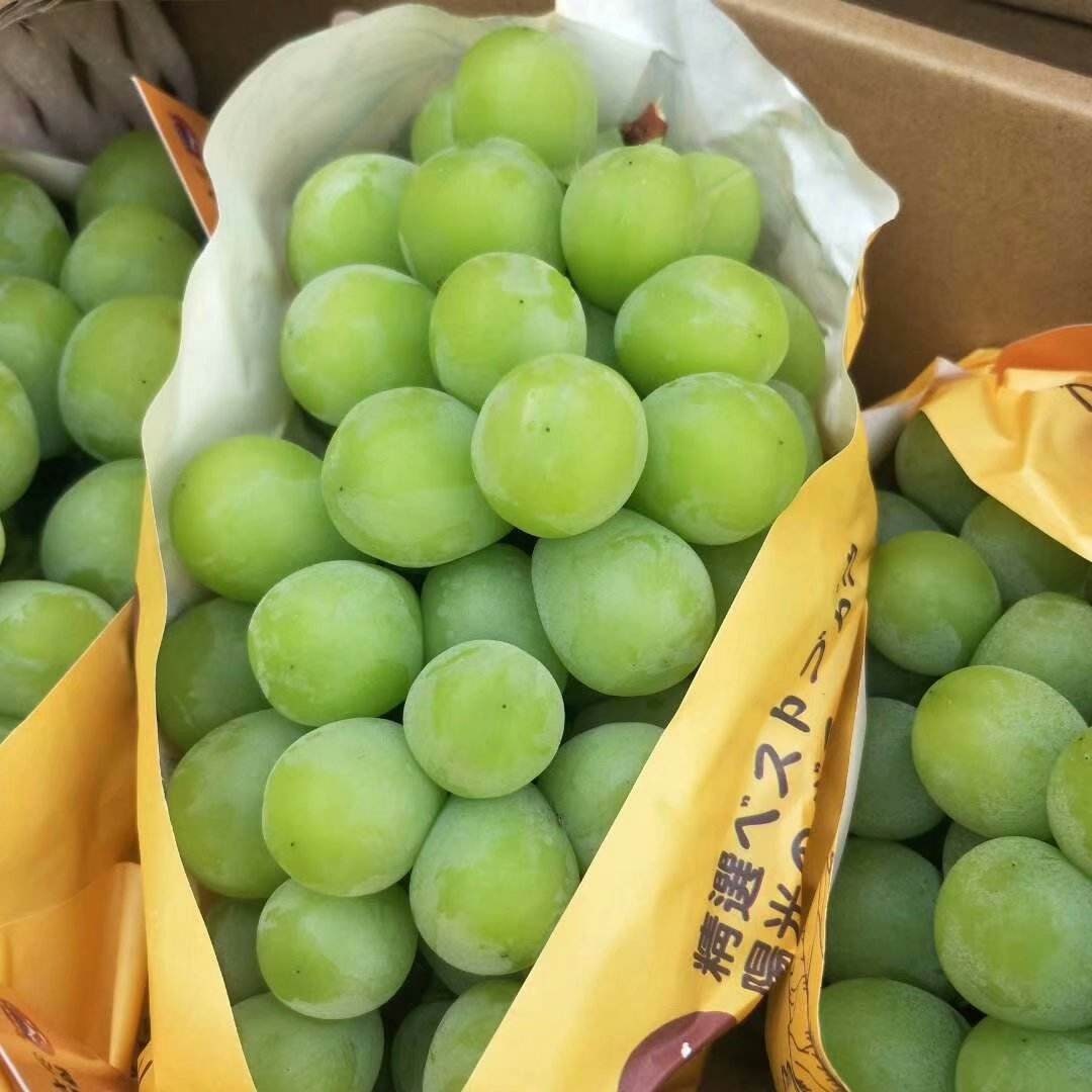 muscat Get Korean Shine Muscat Grape 1.1 lb Delivered | Weee! Asian Market