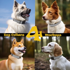 Dog Collar Mockup: 4 Image Pet Canva Overlay Bundle